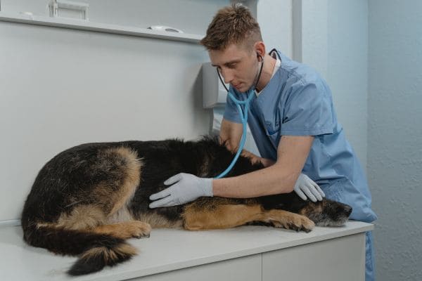 Medical Care